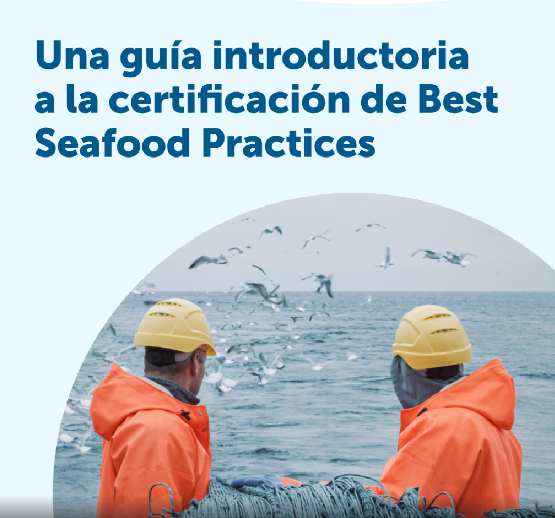 BSP Spanish Producer Guide